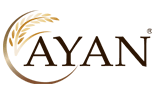 Ayan